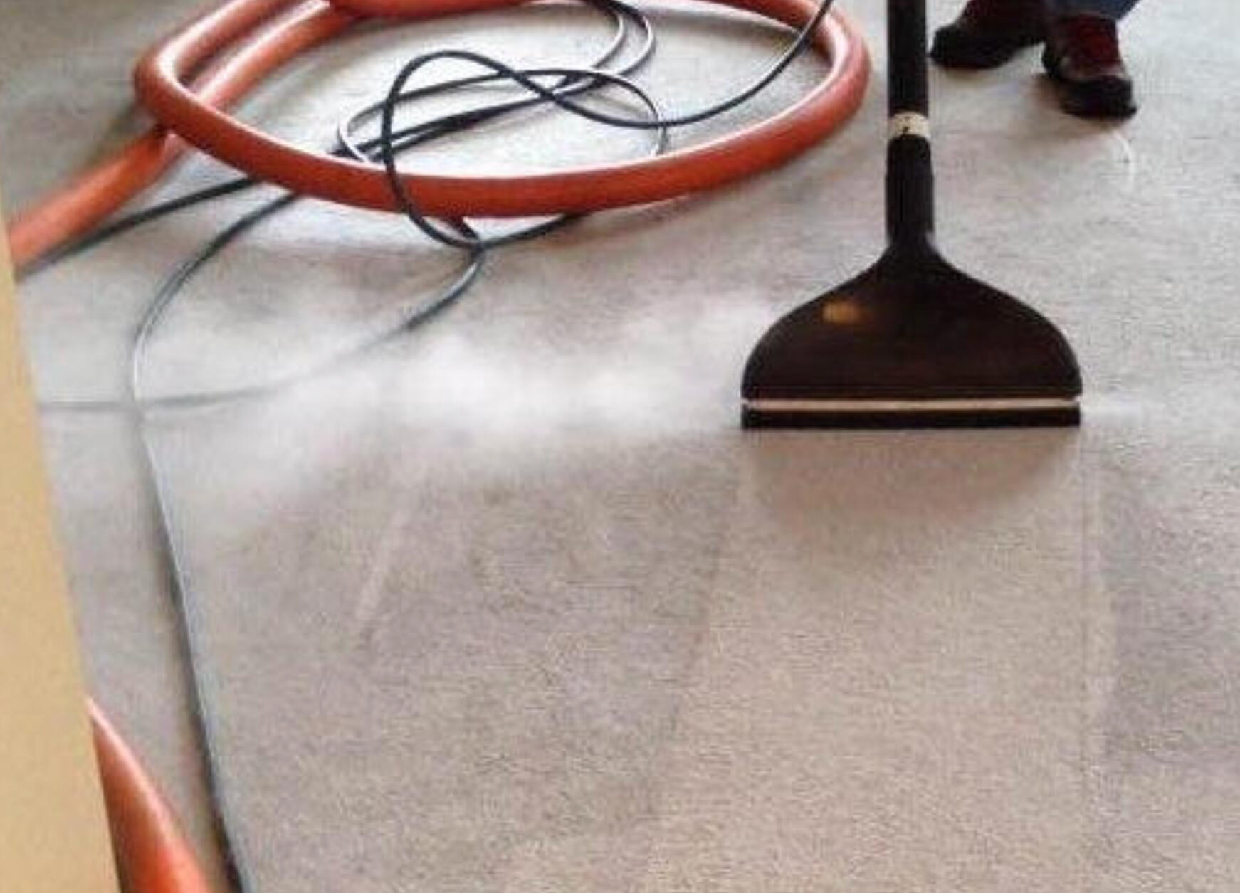 Baby Safe Carpet Cleaning