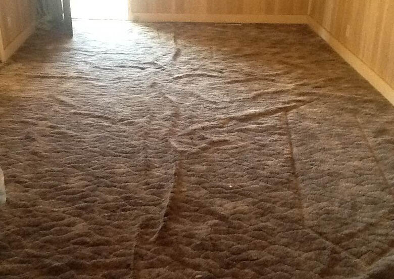Baby Safe Carpet Cleaning