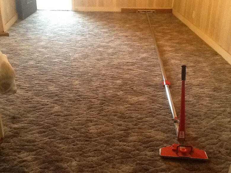 Baby Safe Carpet Cleaning