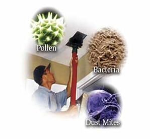 Baby Safe Carpet Cleaning